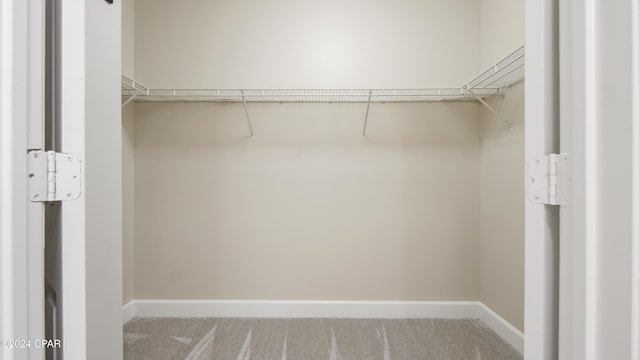 spacious closet featuring carpet flooring