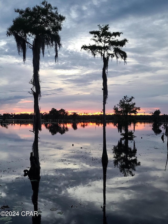 nature at dusk with a water view