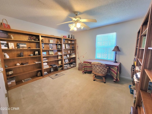 17680 Margaret St, Blountstown, FL 32424 - office featuring a textured ceiling, a ceiling fan, and carpet floors