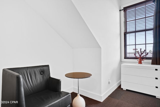 bedroom with vaulted ceiling