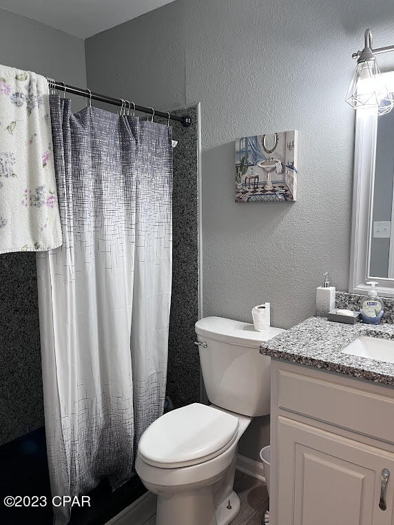 bathroom with vanity, curtained shower, and toilet