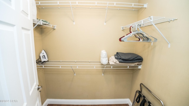 spacious closet featuring wood-type flooring