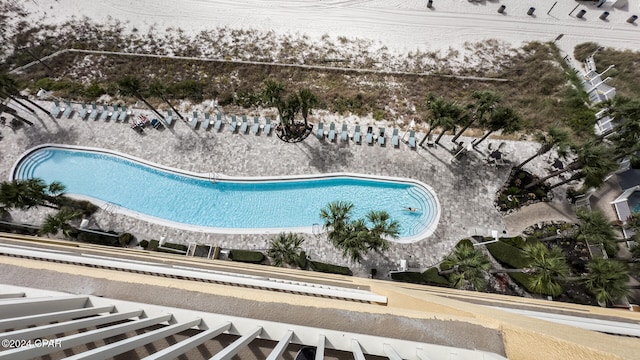 view of swimming pool featuring a patio