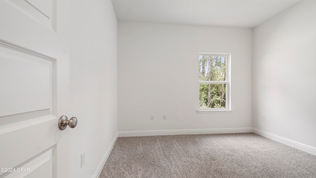 spare room featuring carpet flooring