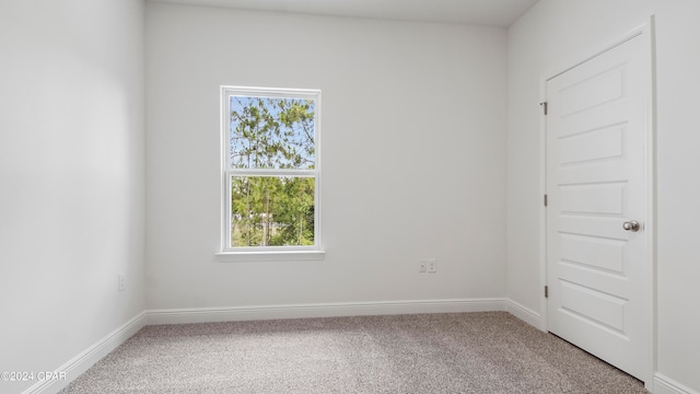 spare room featuring carpet flooring and plenty of natural light