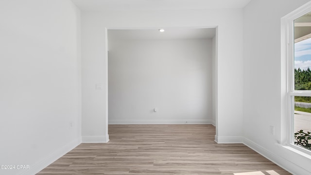 empty room featuring light wood-type flooring and plenty of natural light