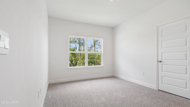 spare room with carpet floors