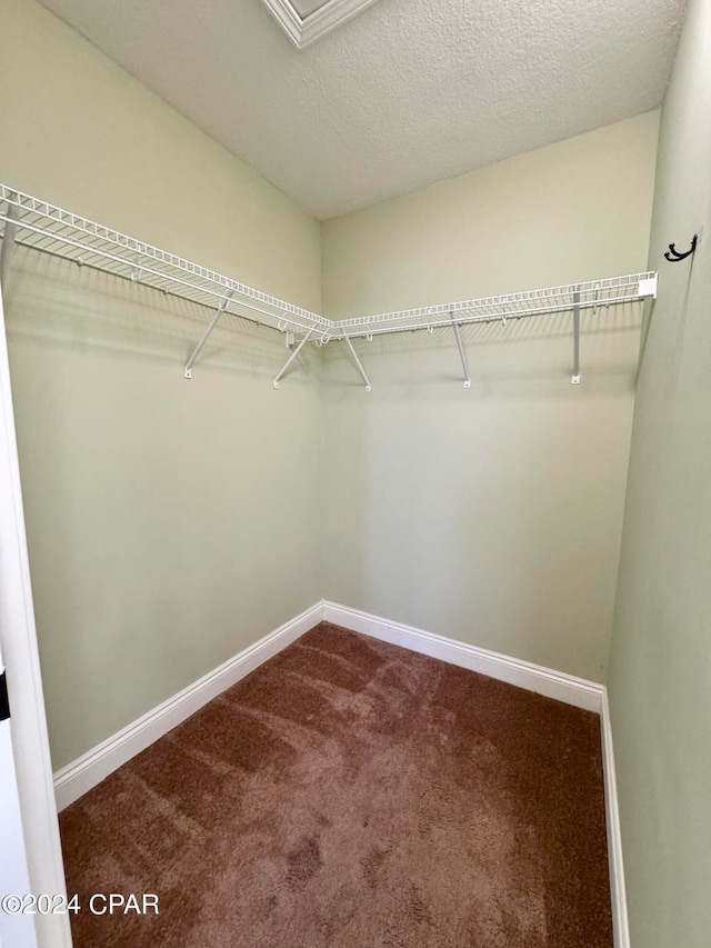 walk in closet featuring carpet floors