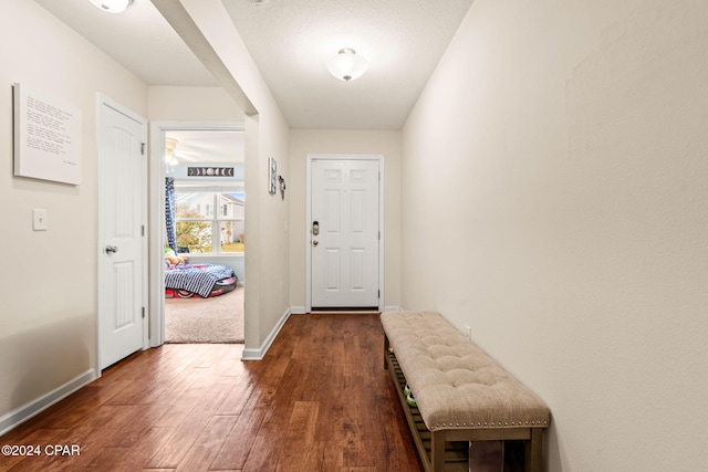 doorway to outside featuring dark wood-type flooring