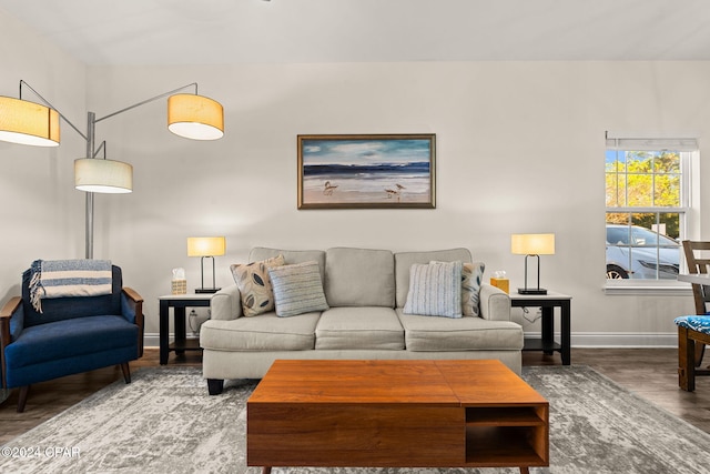 living room featuring hardwood / wood-style floors