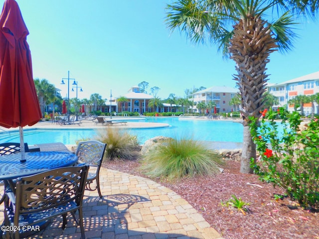 view of pool featuring a patio area