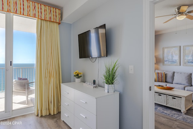 interior space with a wealth of natural light, ceiling fan, and light wood-type flooring