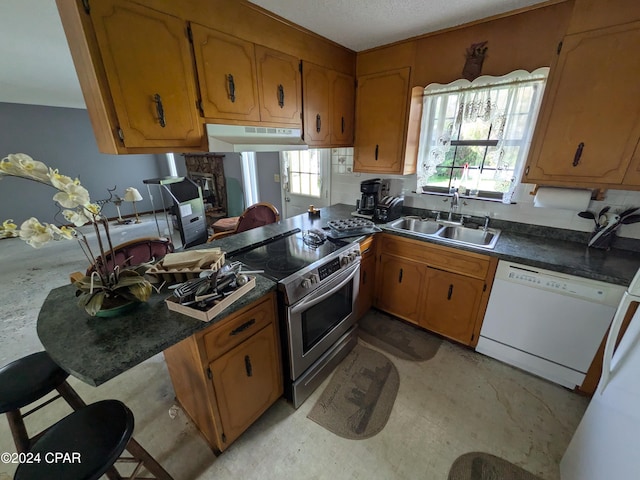 kitchen with white dishwasher, plenty of natural light, high end stainless steel range, and sink