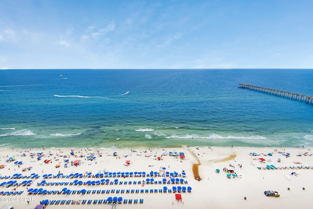 water view featuring a beach view