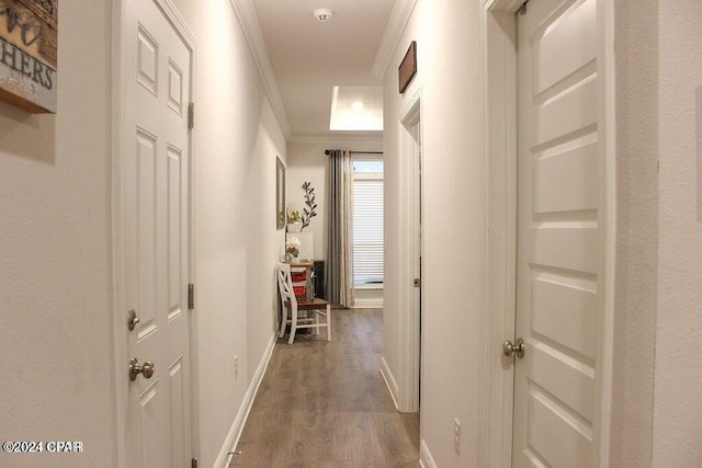 hallway with dark hardwood / wood-style flooring and ornamental molding