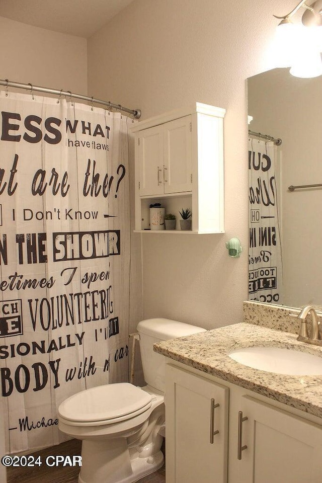 bathroom with vanity, toilet, and curtained shower