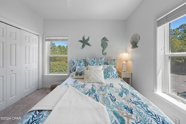 bedroom featuring a closet and carpet flooring