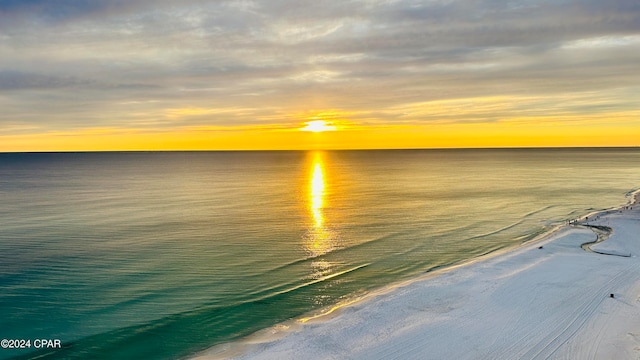 property view of water featuring a beach view