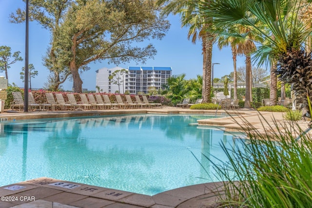 view of pool featuring a patio