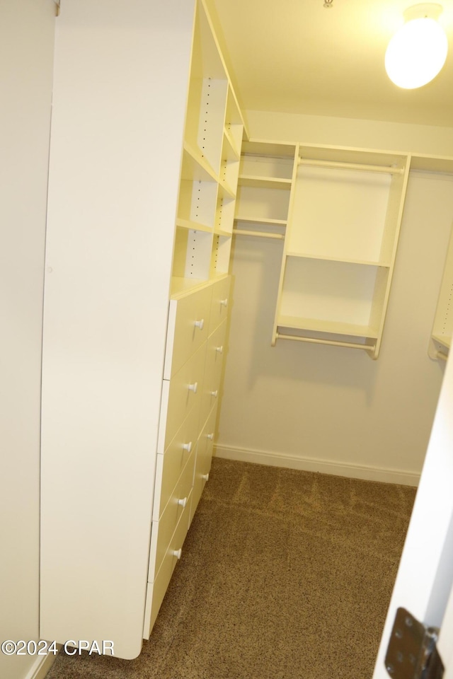 spacious closet featuring dark colored carpet