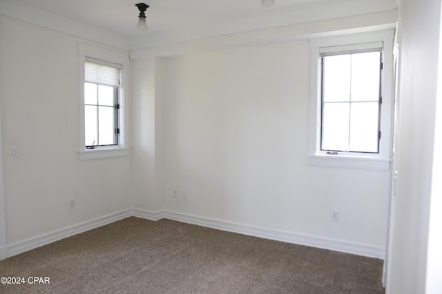 view of carpeted spare room