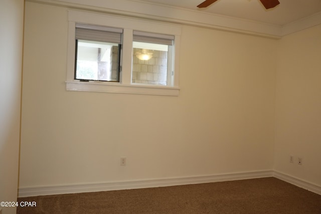 spare room with crown molding, ceiling fan, and carpet flooring