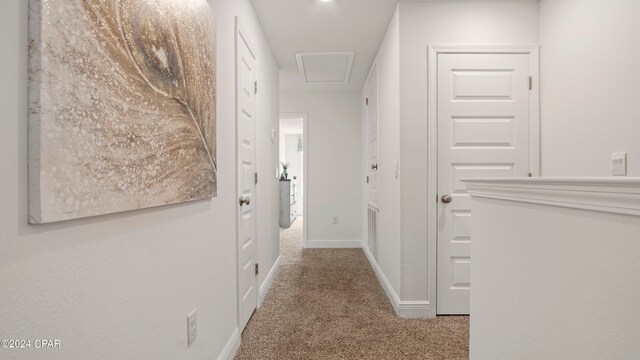 hallway featuring carpet floors