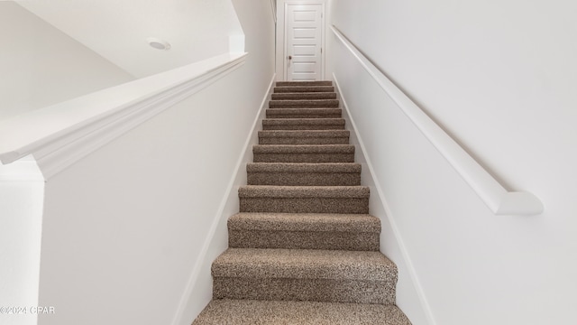 staircase featuring carpet floors