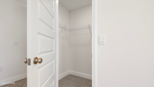 spacious closet featuring carpet flooring