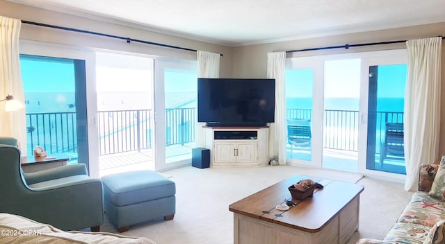 view of carpeted living room