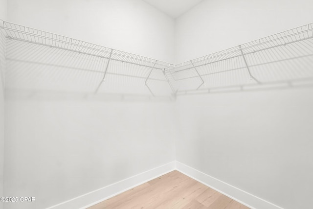 spacious closet with wood-type flooring