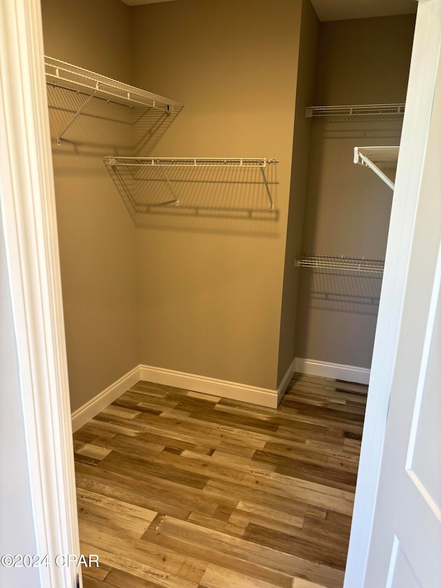 walk in closet featuring hardwood / wood-style flooring