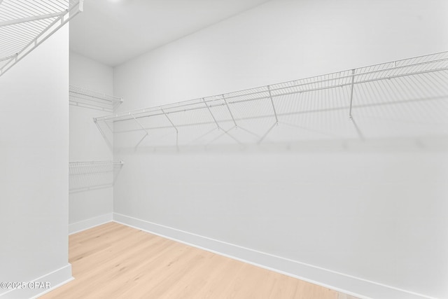 walk in closet with wood-type flooring