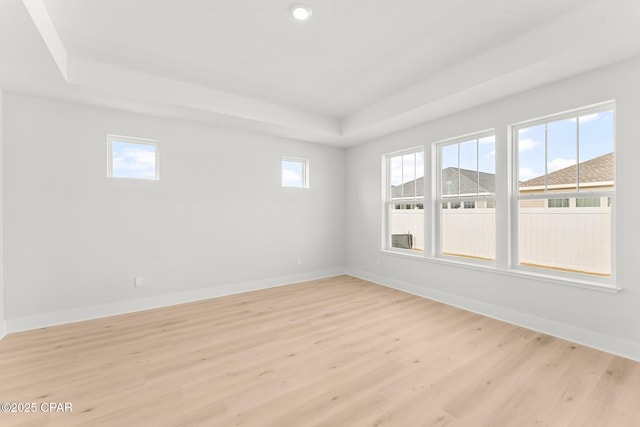 unfurnished room featuring a raised ceiling and light wood-type flooring