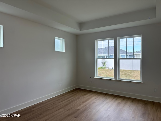 spare room featuring a raised ceiling and light wood-type flooring