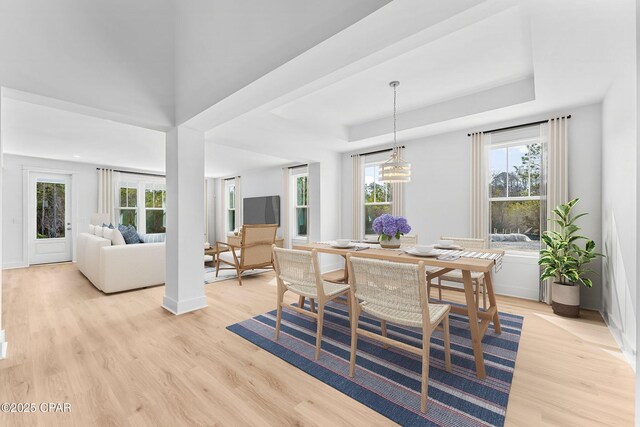 dining room with a tray ceiling, a wealth of natural light, and light hardwood / wood-style floors