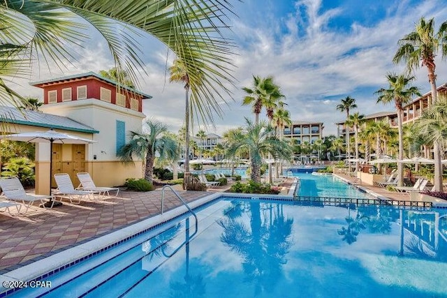 view of pool featuring a patio area