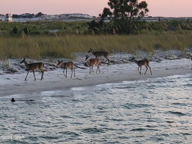 view of yard at dusk