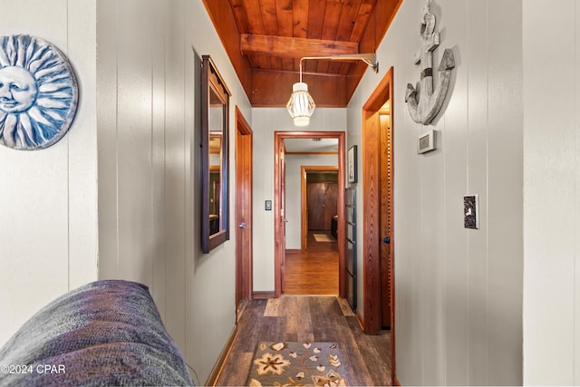 hallway featuring wooden walls, dark hardwood / wood-style flooring, beamed ceiling, and wood ceiling