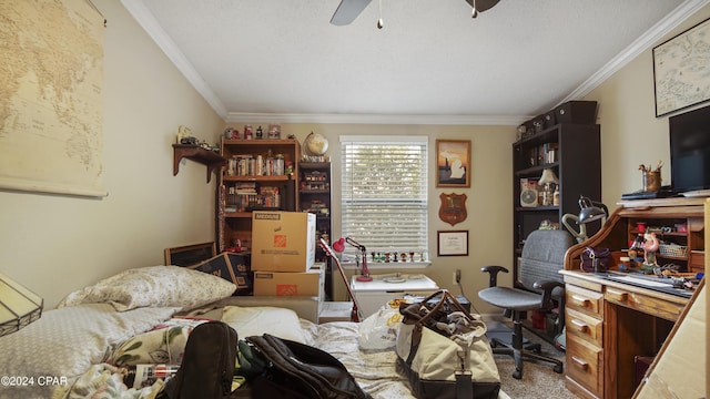 interior space with a textured ceiling, ornamental molding, ceiling fan, and carpet flooring