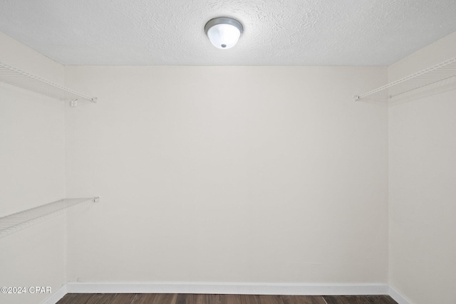 spacious closet featuring dark hardwood / wood-style floors