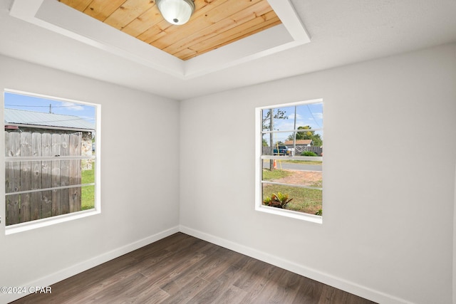 spare room featuring dark wood-type flooring and a raised ceiling