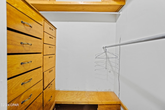 view of spacious closet