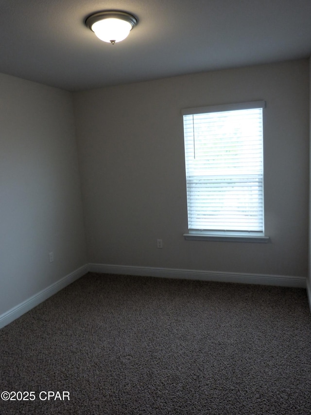 spare room featuring carpet