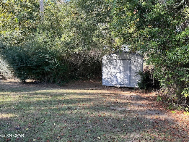 view of yard with a storage shed