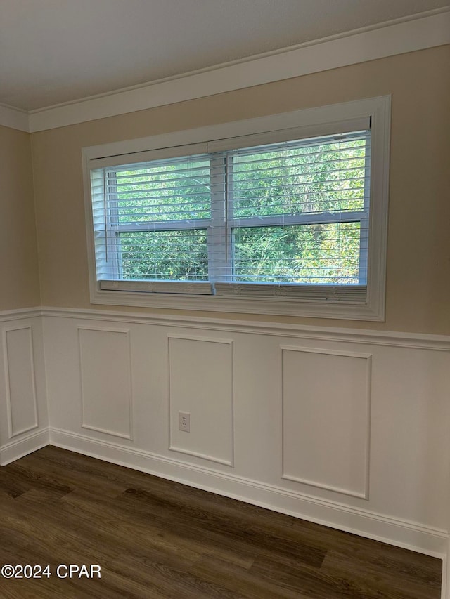 unfurnished room featuring plenty of natural light, crown molding, and dark wood-type flooring