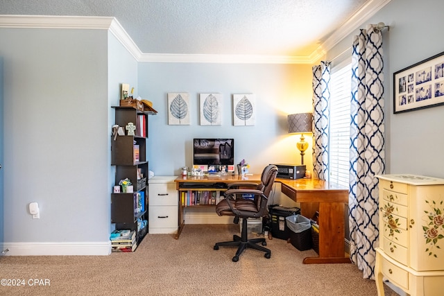 office space with carpet flooring, ornamental molding, and a textured ceiling