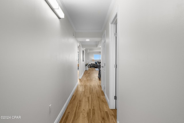 hallway featuring light hardwood / wood-style floors and ornamental molding