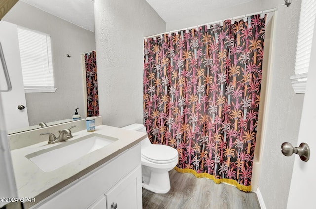 bathroom featuring vanity, wood-type flooring, and toilet