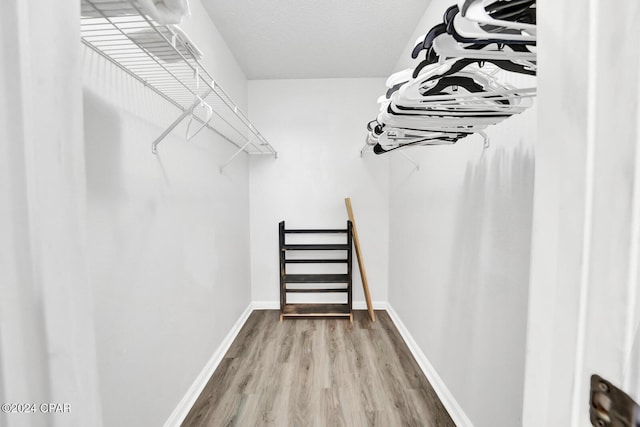 walk in closet featuring hardwood / wood-style floors